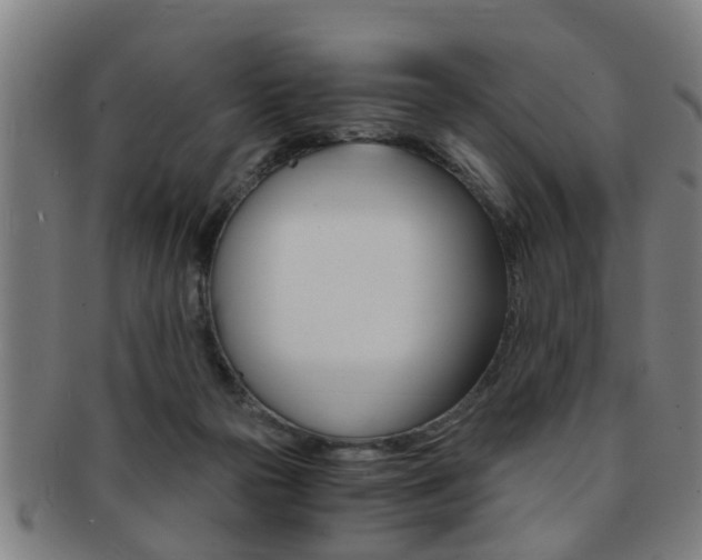 X0000091880169200709051021