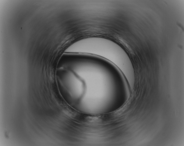 X0000091880170200709051021