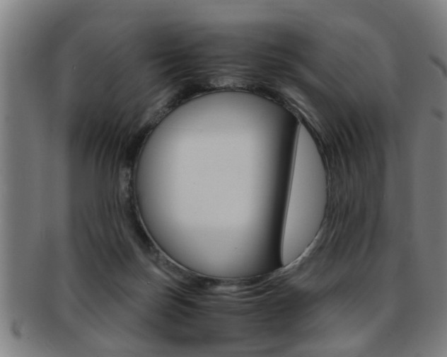 X0000091880171200709051021