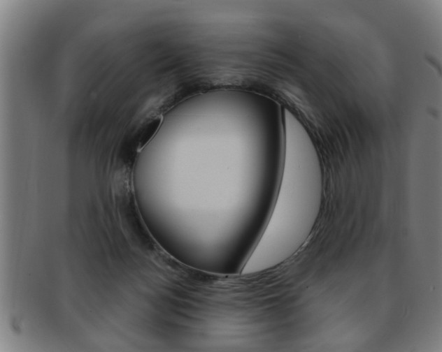 X0000091880172200709051021