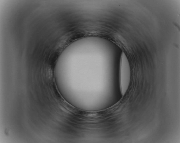 X0000091880173200709051021