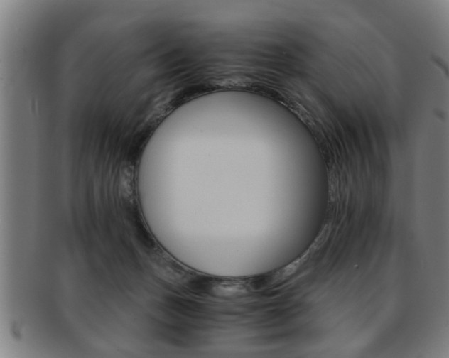 X0000091880175200709051021