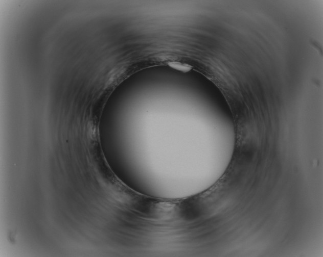 X0000091880176200709051021
