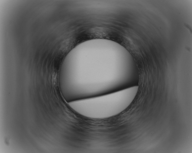 X0000091880177200709051021