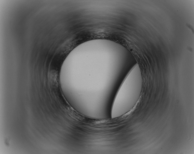 X0000091880178200709051021