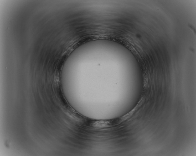 X0000091880179200709051021