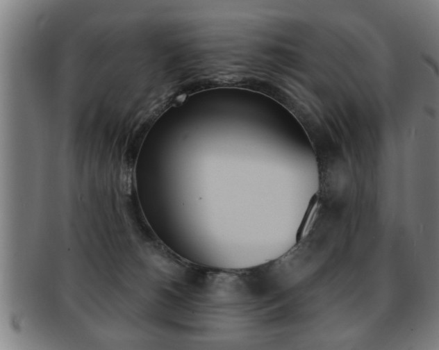 X0000091880180200709051021