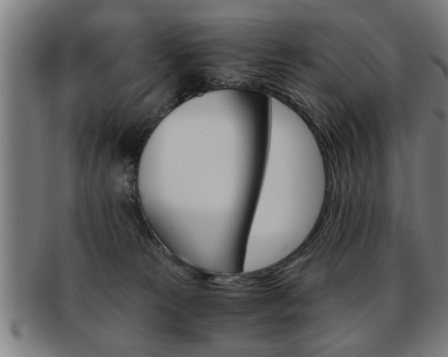 X0000091880181200709051021