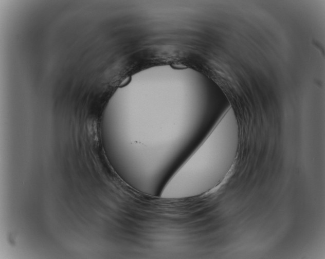 X0000091880182200709051021