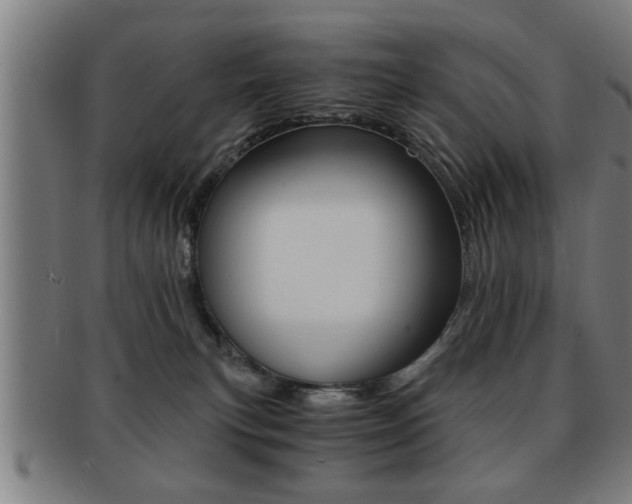 X0000091880183200709051021