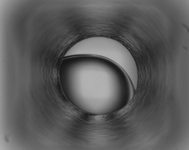 X0000091880184200709051022