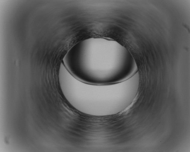 X0000091880186200709051022