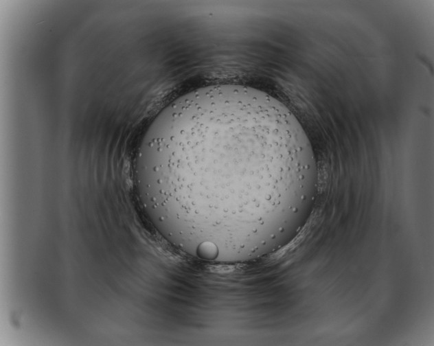 X0000091880187200709051022