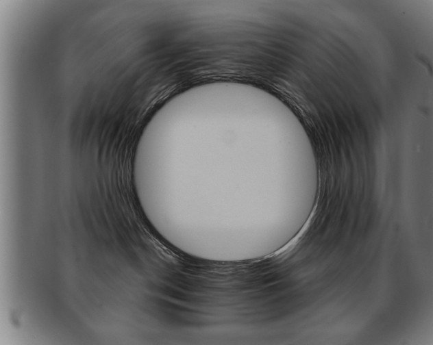 X0000091880190200709051022