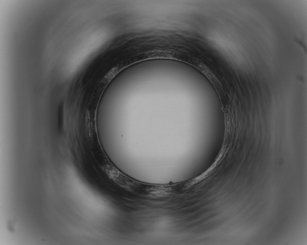 X0000091880191200709051022