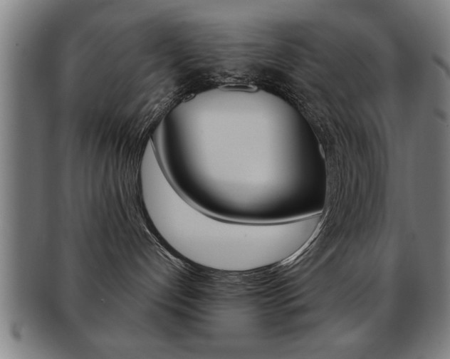 X0000091880192200709051022