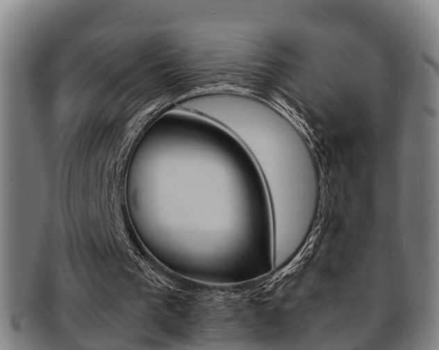 X0000091880193200709051021