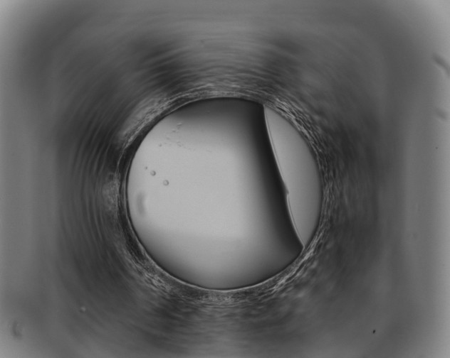 X0000091880194200709051021