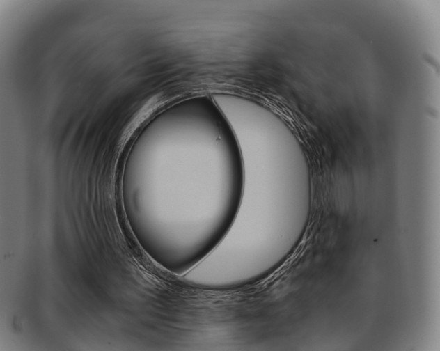 X0000091880195200709051021