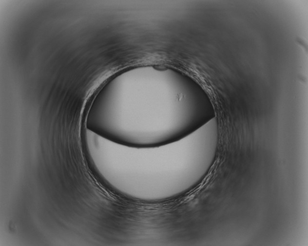 X0000091880196200709051021