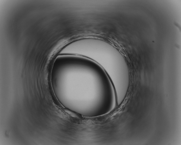 X0000091880197200709051021
