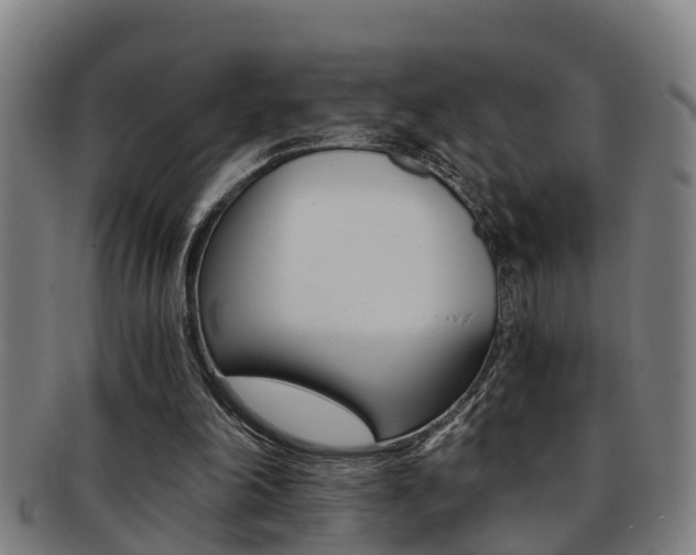 X0000091880198200709051021