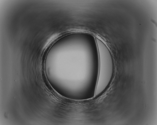 X0000091880199200709051021