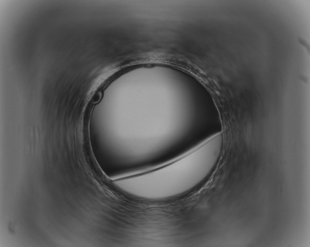 X0000091880200200709051021