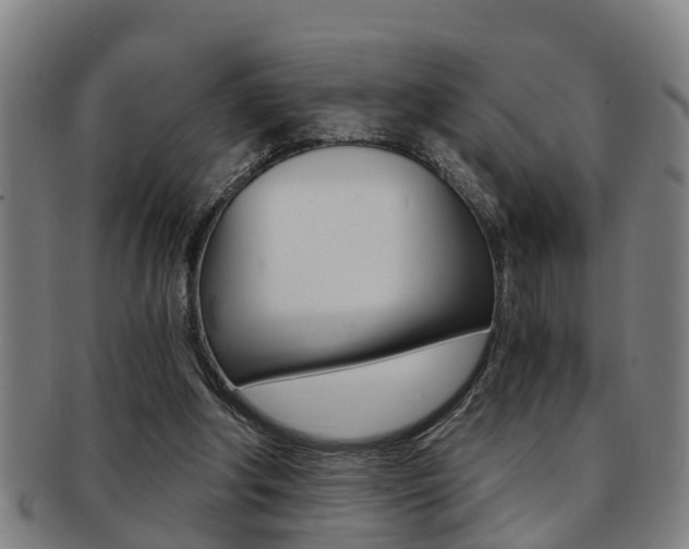 X0000091880202200709051021