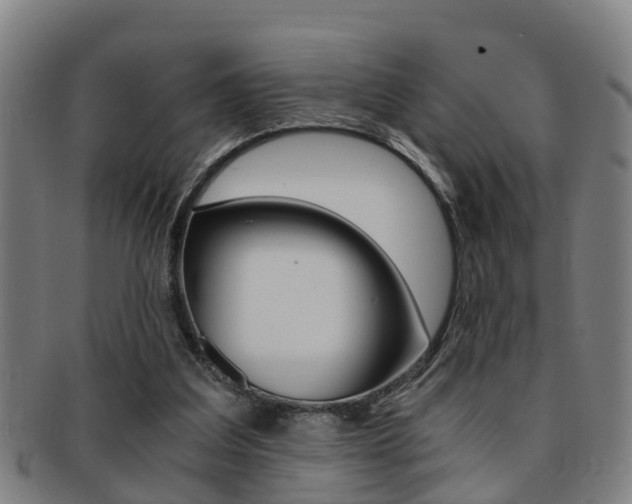 X0000091880203200709051021