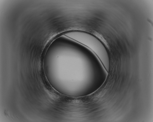 X0000091880204200709051021