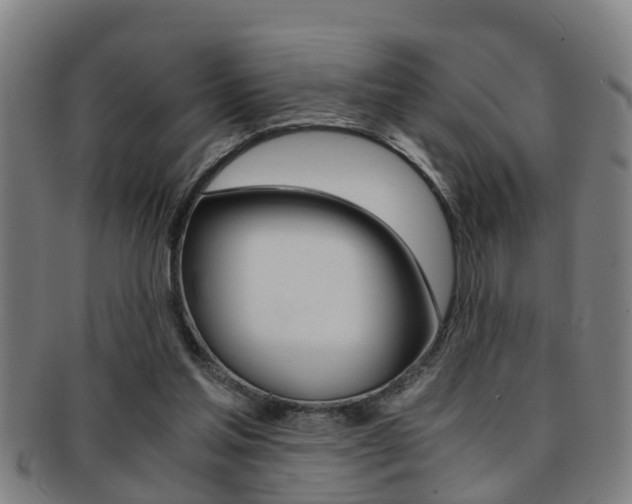 X0000091880205200709051021