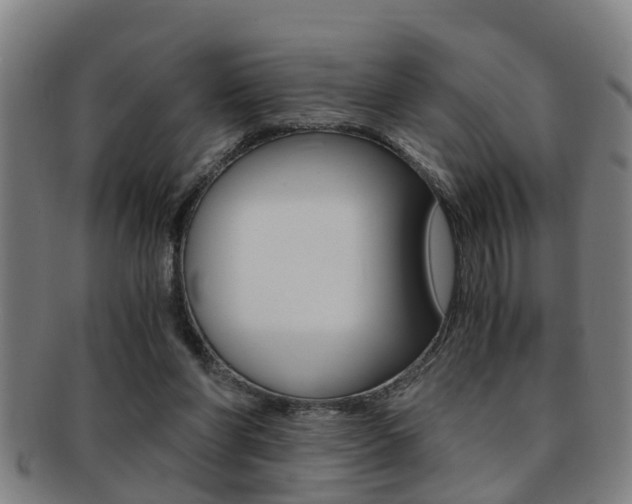X0000091880206200709051021