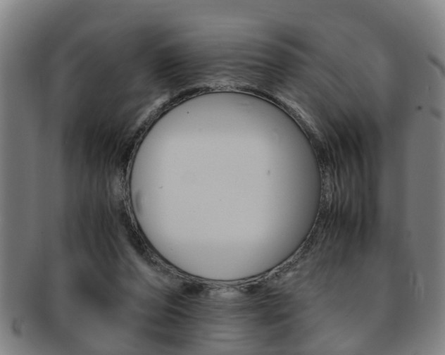 X0000091880208200709051021