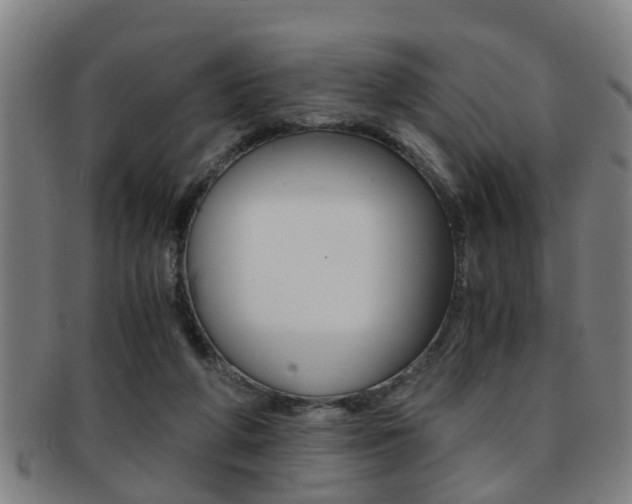 X0000091880210200709051021