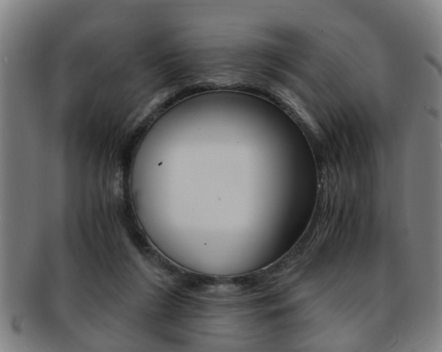 X0000091880212200709051021