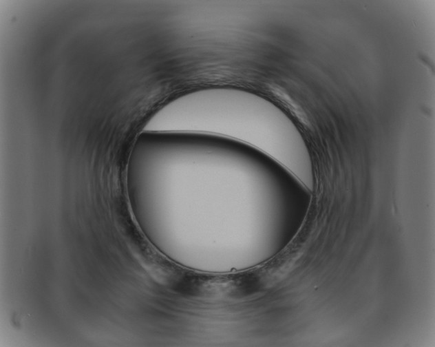 X0000091880213200709051021