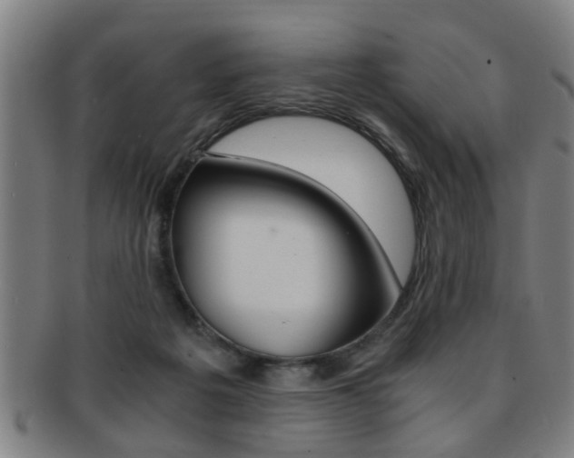X0000091880217200709051021