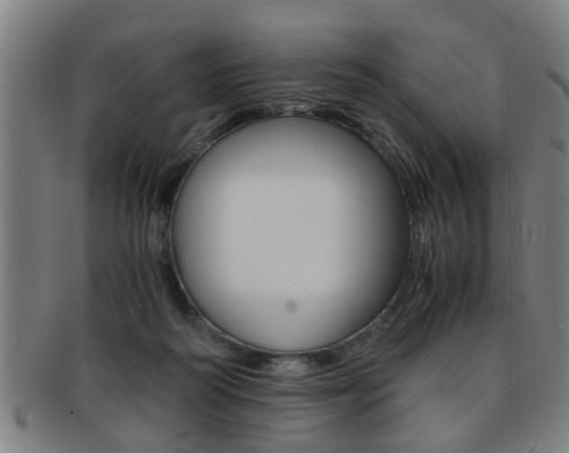 X0000091880218200709051021