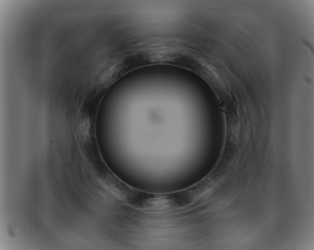 X0000091880219200709051021