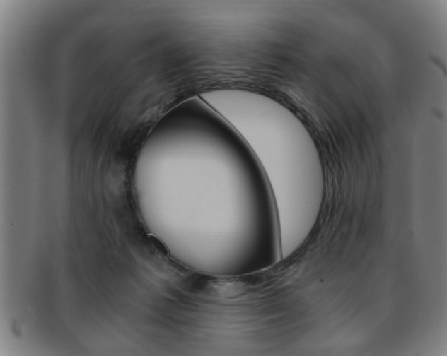 X0000091880221200709051021