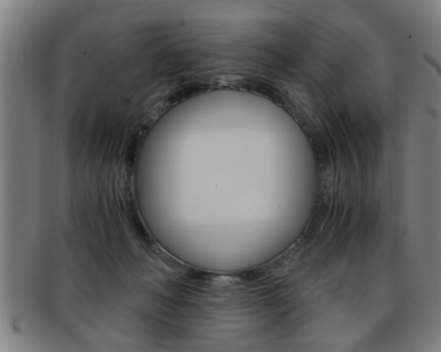 X0000091880222200709051021