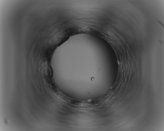 X0000091880223200709051021