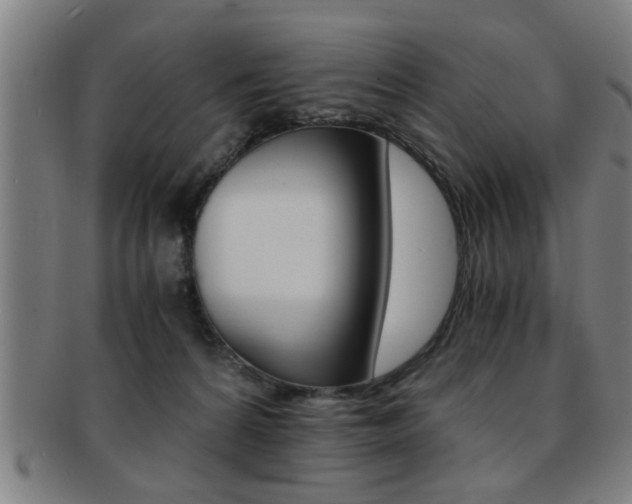 X0000091880224200709051021