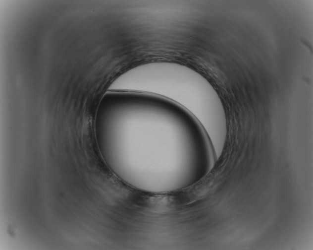 X0000091880225200709051021