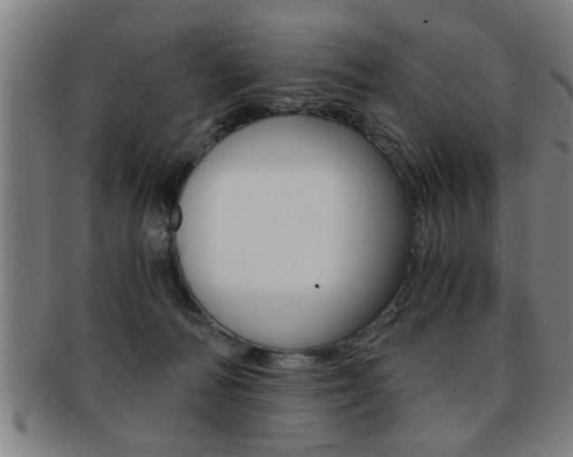 X0000091880226200709051021