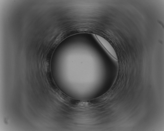 X0000091880227200709051021