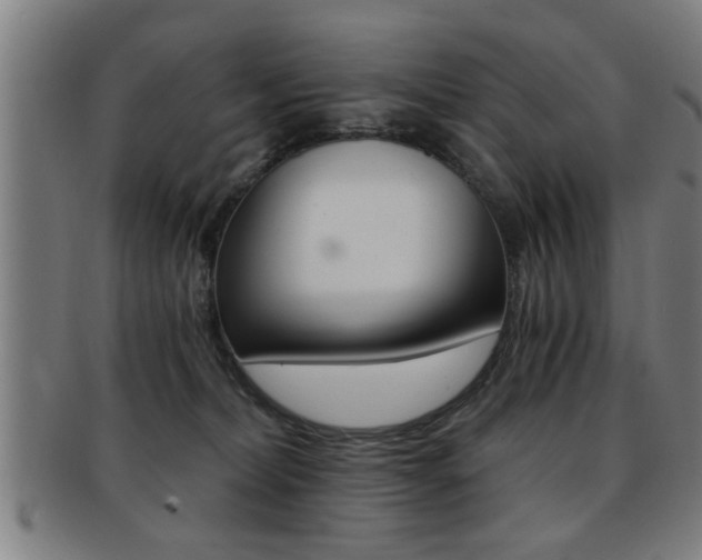 X0000091880228200709051021