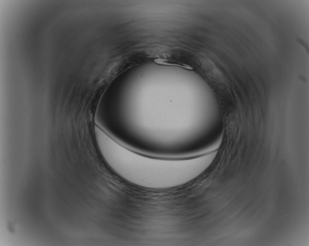 X0000091880229200709051021