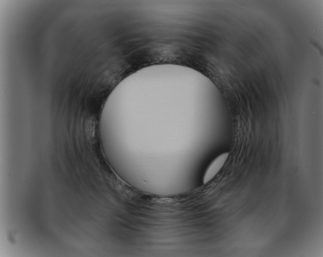 X0000091880230200709051021